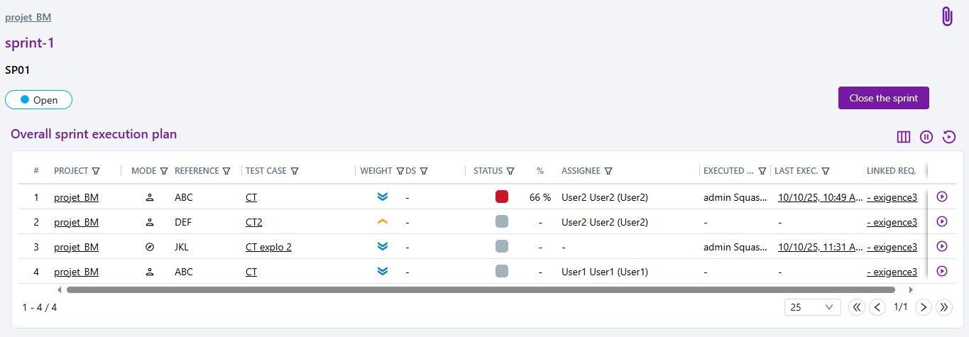 Sprint execution plan